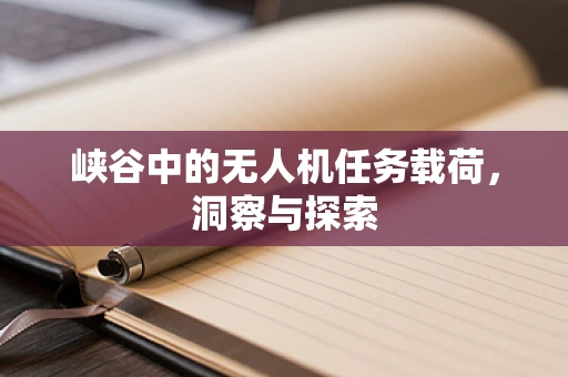 峡谷中的无人机任务载荷，洞察与探索
