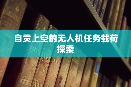 自贡上空的无人机任务载荷探索