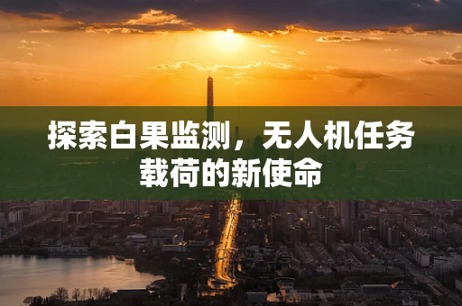 探索白果监测，无人机任务载荷的新使命