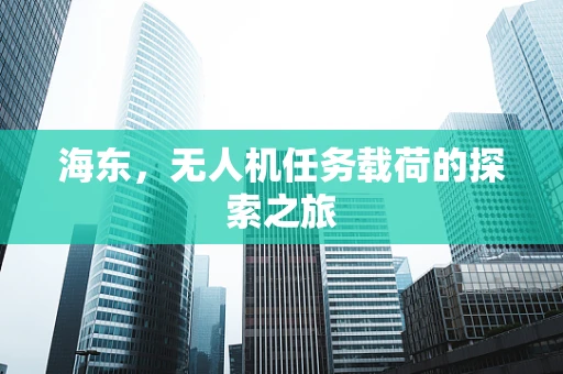 海东，无人机任务载荷的探索之旅