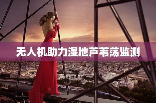 无人机助力湿地芦苇荡监测