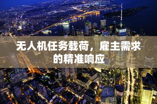 无人机任务载荷，雇主需求的精准响应