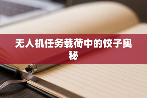 无人机任务载荷中的饺子奥秘