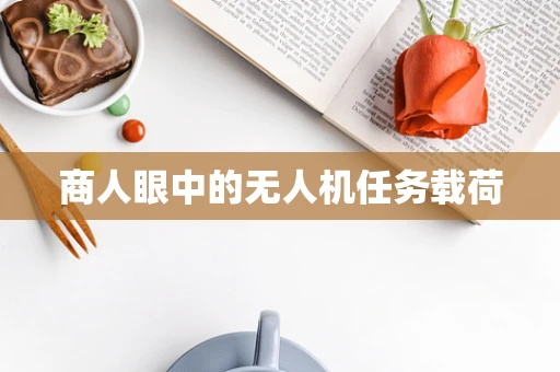 商人眼中的无人机任务载荷
