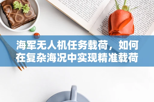 海军无人机任务载荷，如何在复杂海况中实现精准载荷部署？