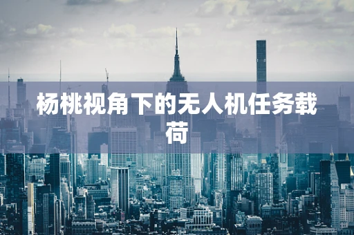杨桃视角下的无人机任务载荷