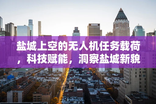盐城上空的无人机任务载荷，科技赋能，洞察盐城新貌