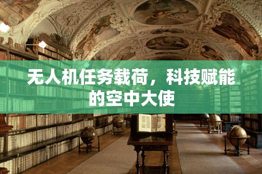 无人机任务载荷，科技赋能的空中大使