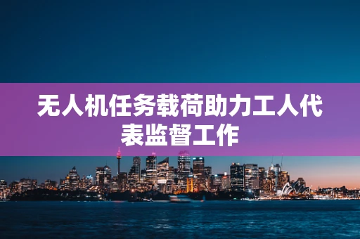 无人机任务载荷助力工人代表监督工作