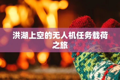 洪湖上空的无人机任务载荷之旅