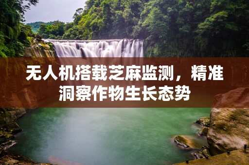 无人机搭载芝麻监测，精准洞察作物生长态势