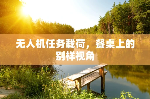 无人机任务载荷，餐桌上的别样视角