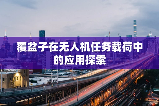 覆盆子在无人机任务载荷中的应用探索