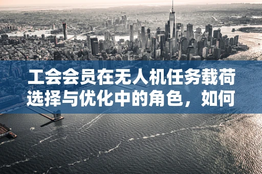 工会会员在无人机任务载荷选择与优化中的角色，如何平衡效率与安全？