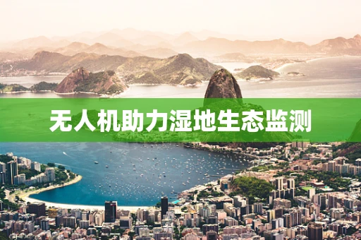 无人机助力湿地生态监测