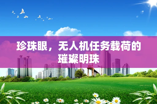珍珠眼，无人机任务载荷的璀璨明珠