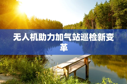 无人机助力加气站巡检新变革