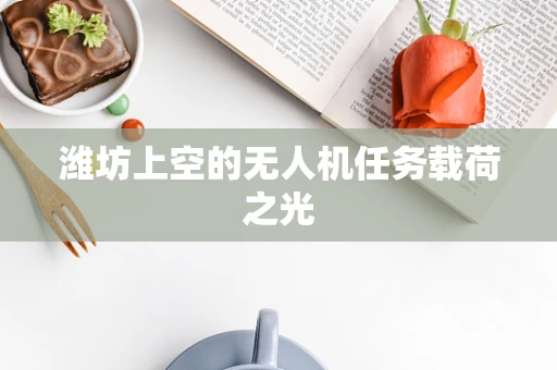 潍坊上空的无人机任务载荷之光