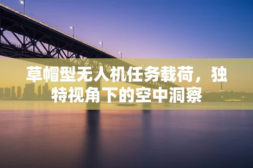 草帽型无人机任务载荷，独特视角下的空中洞察