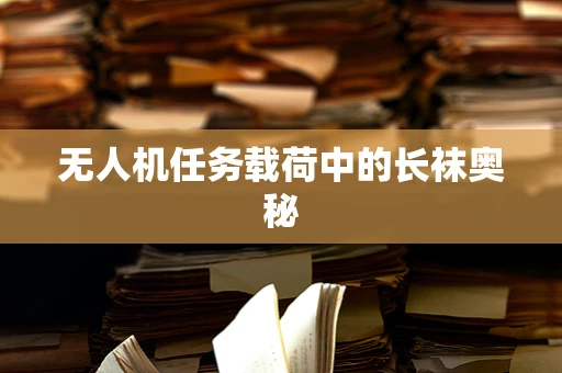 无人机任务载荷中的长袜奥秘