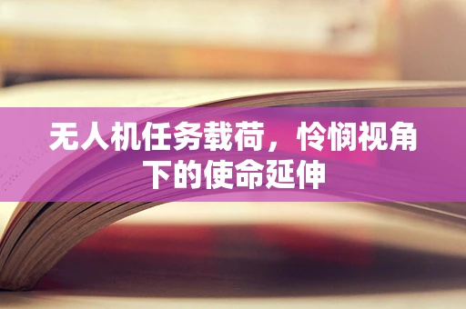无人机任务载荷，怜悯视角下的使命延伸