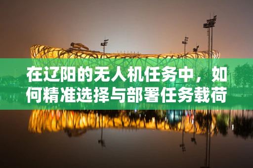 在辽阳的无人机任务中，如何精准选择与部署任务载荷？