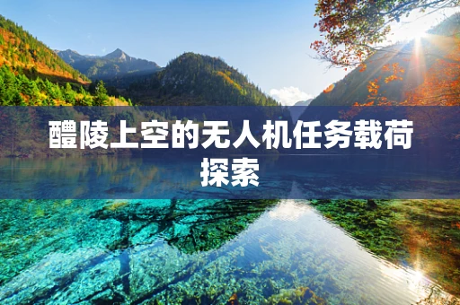 醴陵上空的无人机任务载荷探索