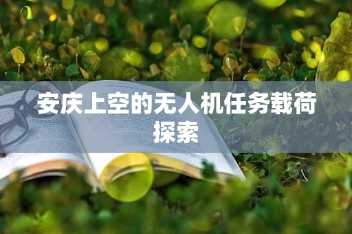 安庆上空的无人机任务载荷探索